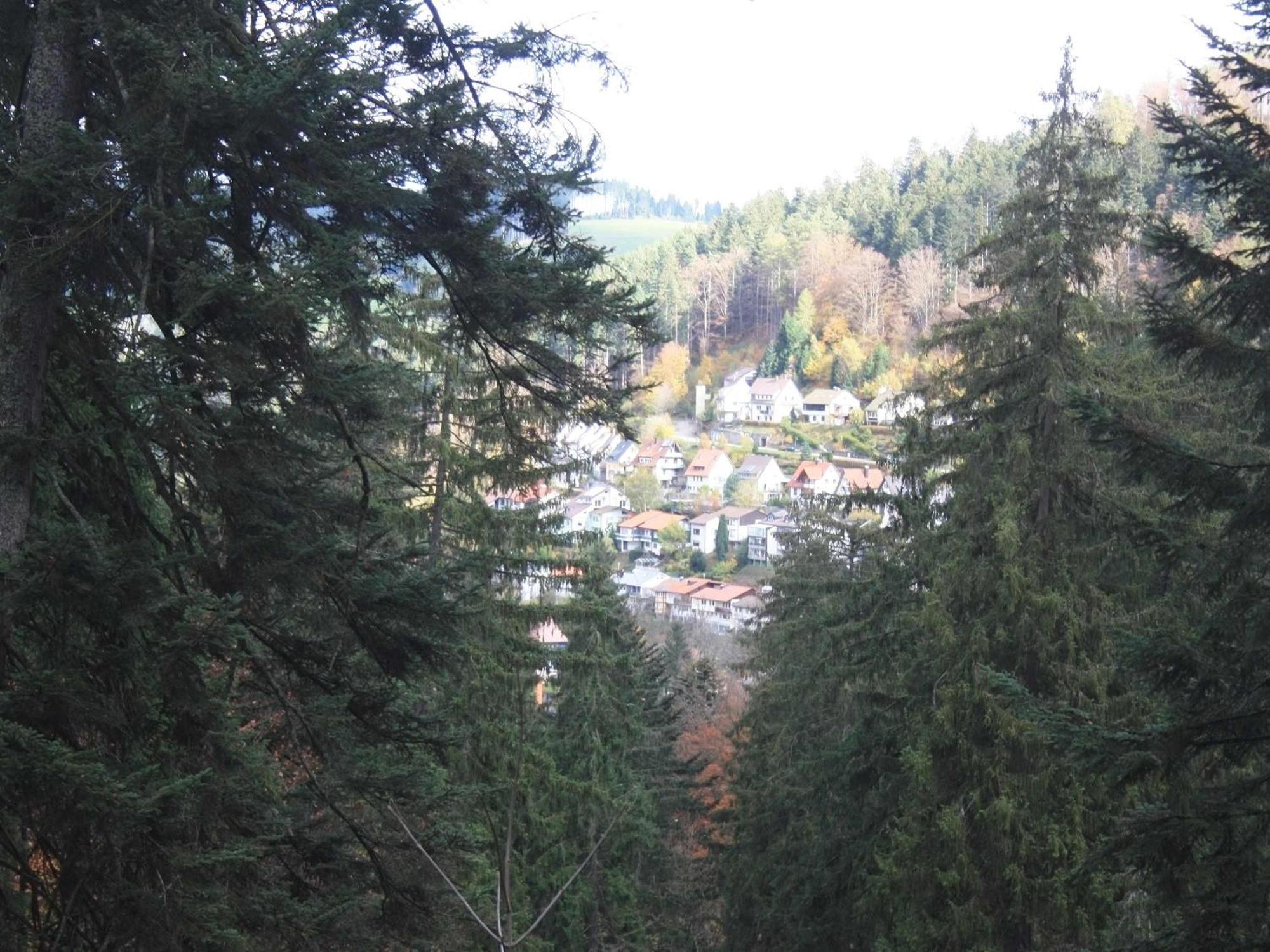 Relaxapartments Black Forest Diamond Direkt An Der Hornberger Freilichtbuehne - Sonnenterrasse Mit Blick Auf Das Hornberger Schloss, Schnelles Internet, Fuer Bis Zu 2 Personen المظهر الخارجي الصورة