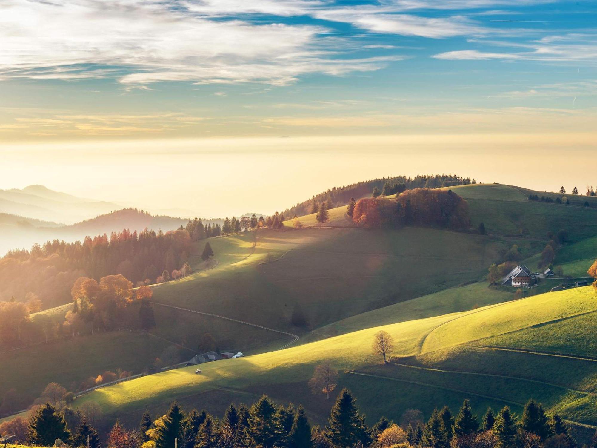 Relaxapartments Black Forest Diamond Direkt An Der Hornberger Freilichtbuehne - Sonnenterrasse Mit Blick Auf Das Hornberger Schloss, Schnelles Internet, Fuer Bis Zu 2 Personen المظهر الخارجي الصورة