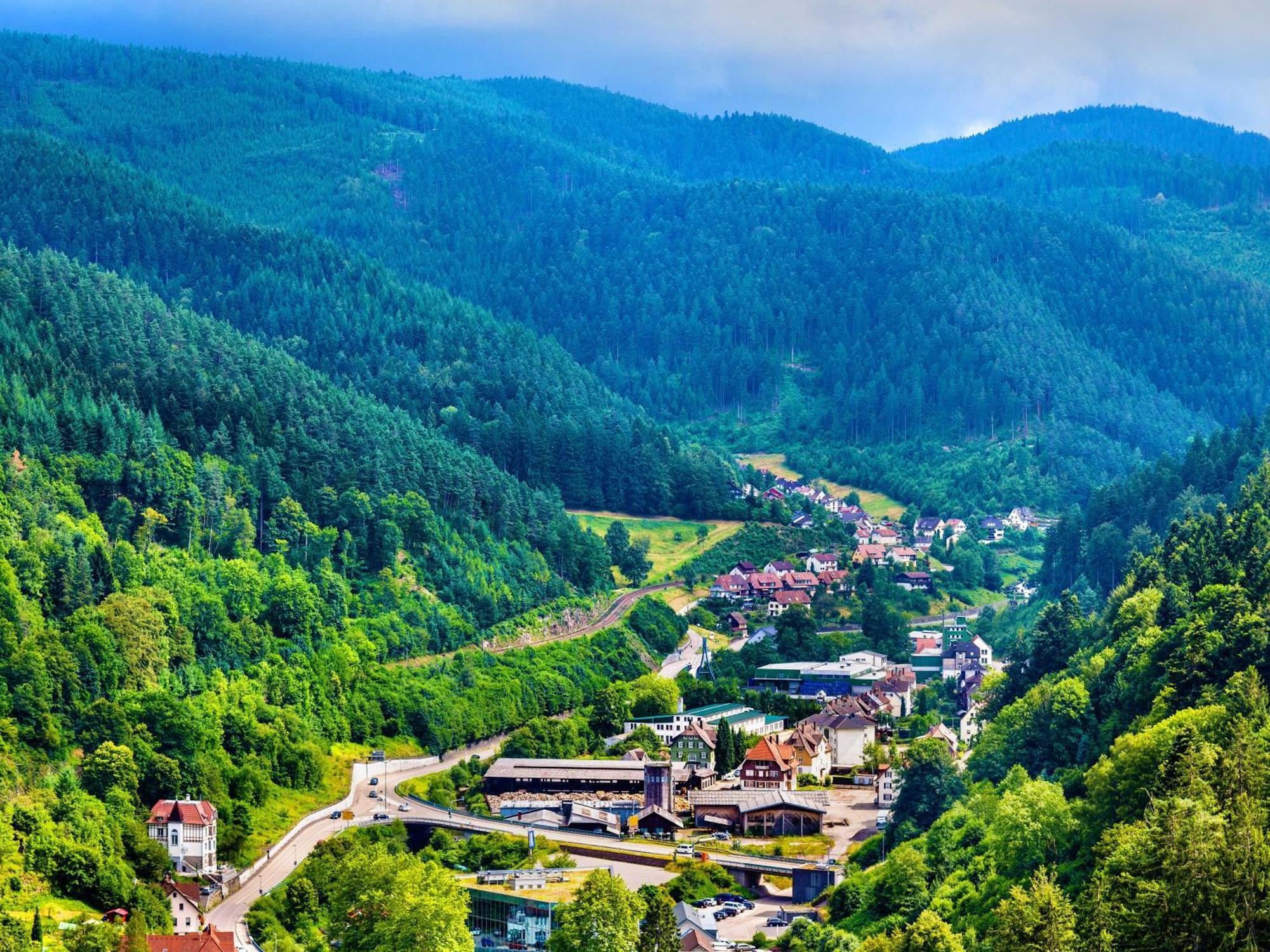 Relaxapartments Black Forest Diamond Direkt An Der Hornberger Freilichtbuehne - Sonnenterrasse Mit Blick Auf Das Hornberger Schloss, Schnelles Internet, Fuer Bis Zu 2 Personen المظهر الخارجي الصورة