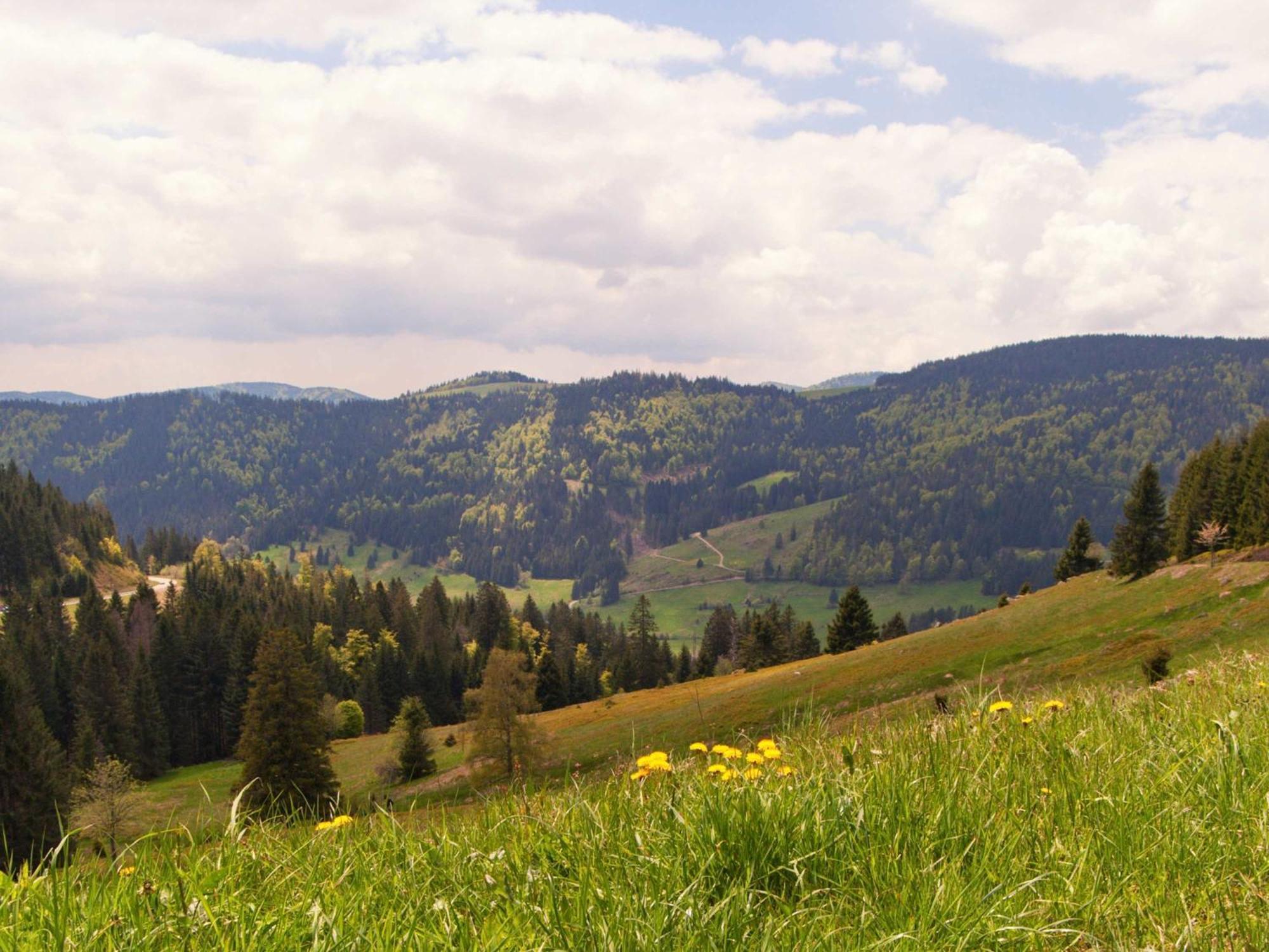 Relaxapartments Black Forest Diamond Direkt An Der Hornberger Freilichtbuehne - Sonnenterrasse Mit Blick Auf Das Hornberger Schloss, Schnelles Internet, Fuer Bis Zu 2 Personen المظهر الخارجي الصورة